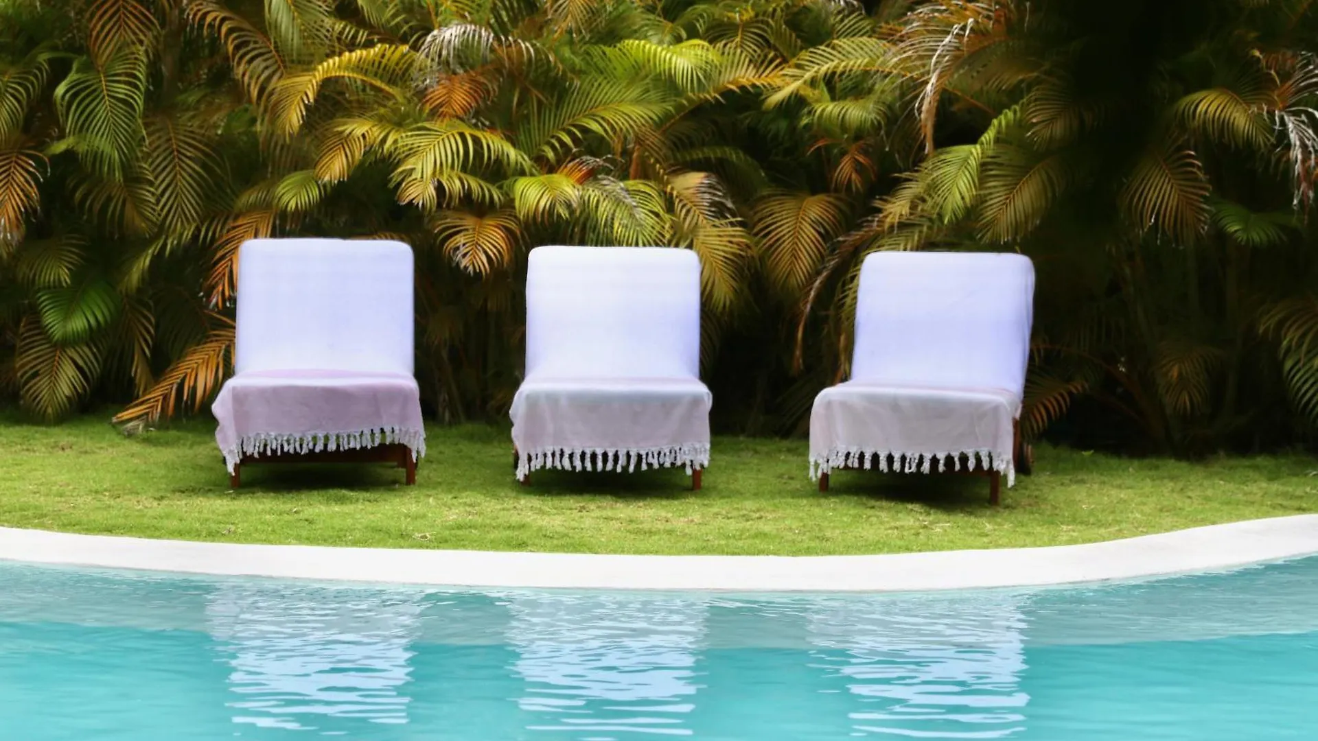 Solea, Villa Tropical Santa Marta